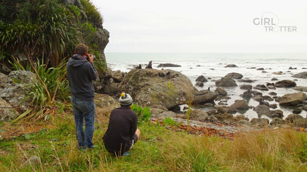 Otaries et Péninsule de Kaikoura en Nouvelle Zélande - Girltrotter