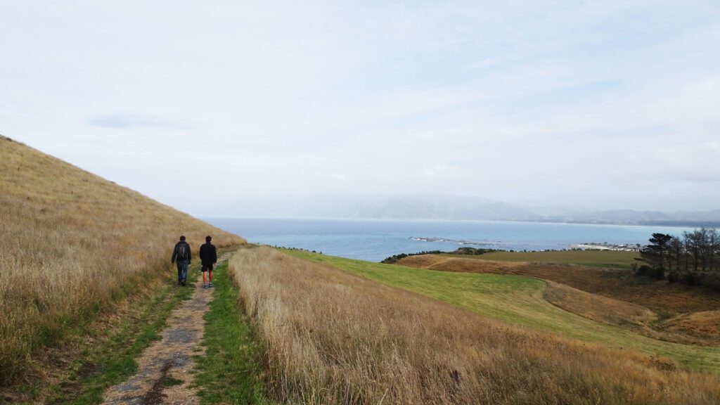 Péninsule de Kaikoura en Nouvelle Zélande - Girltrotter