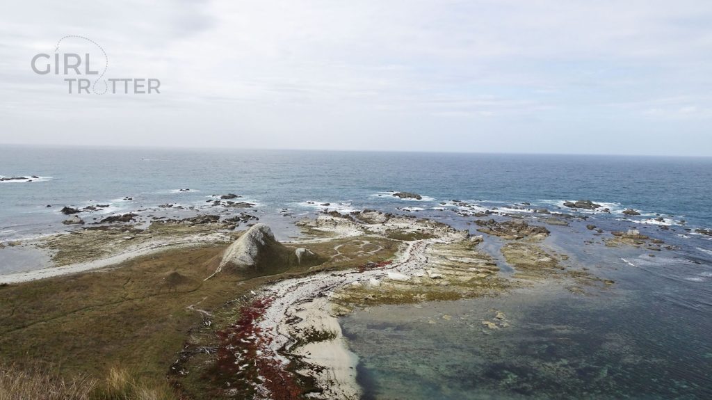 Péninsule de Kaikoura en Nouvelle Zélande - Girltrotter