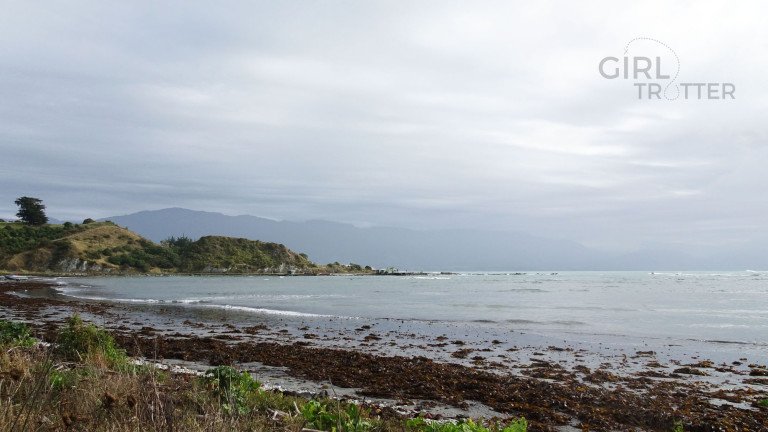 Péninsule de Kaikoura en Nouvelle Zélande - Girltrotter