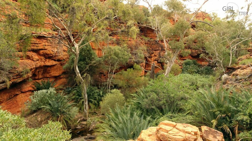 jardin-deden-kings-canyon-australie-girltrotter