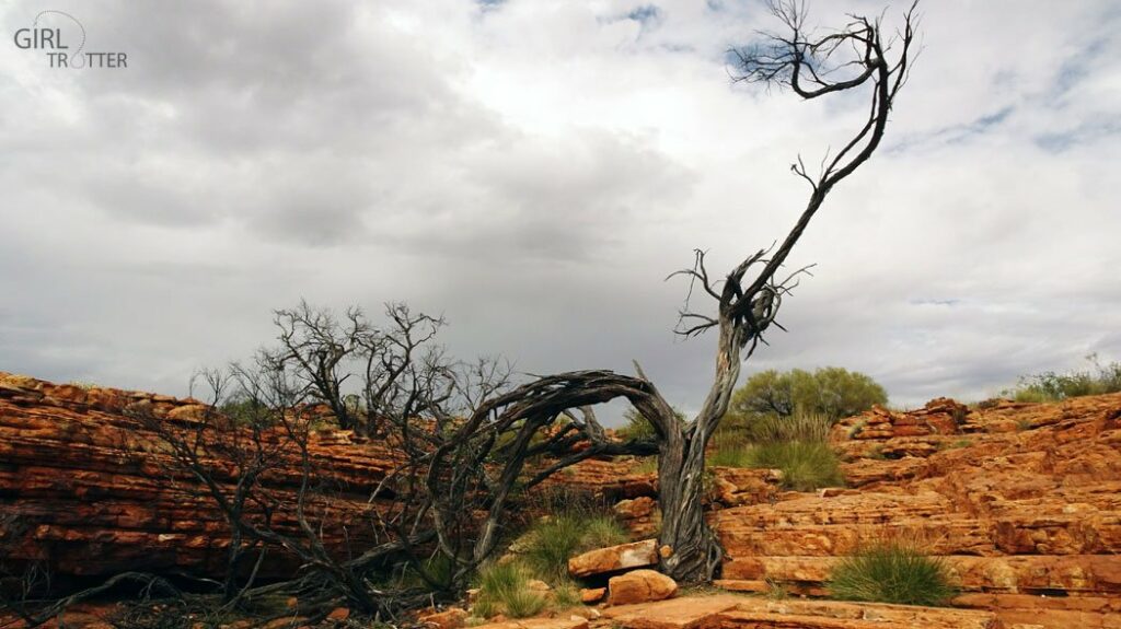 Kings Canyon - Australie