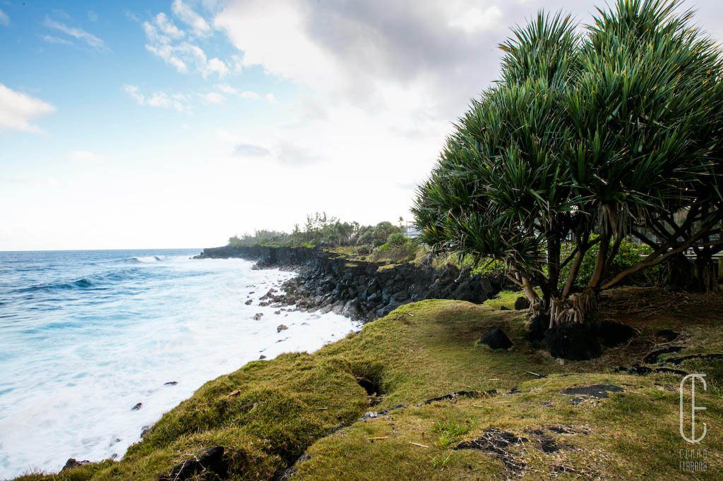 Côte sauvage du sud de l'île de la Réunion