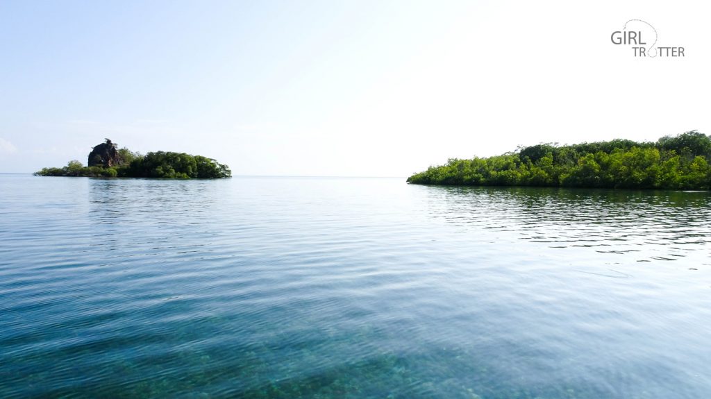 Croisière et visite du jardin de la mer de Riung sur l'île de Flores en Indonésie - Taman Laut