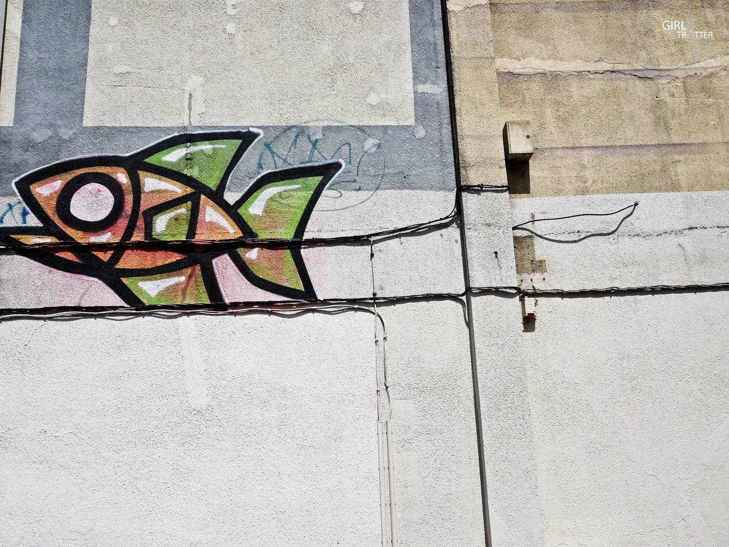 Lille Street Art Collectif Poisson