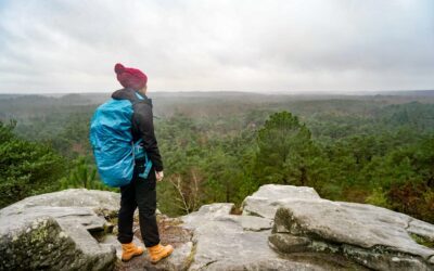 La randonnée des 25 bosses de Fontainebleau