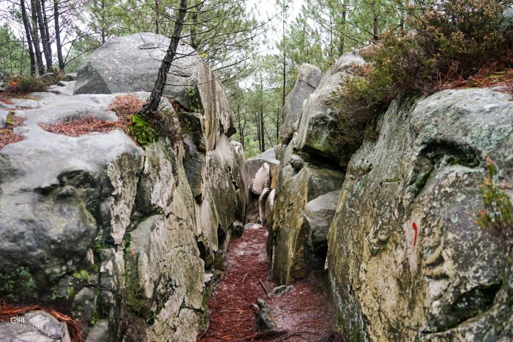 Randonnée des 25 bosses foret de Fontainebleau en Ile de France