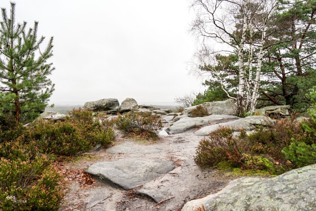 Randonnée des 25 bosses foret de Fontainebleau en Ile de France