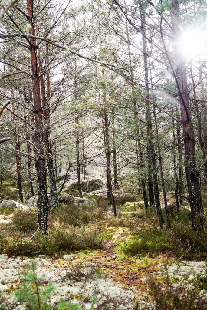 Randonnée des 25 bosses foret de Fontainebleau en Ile de France