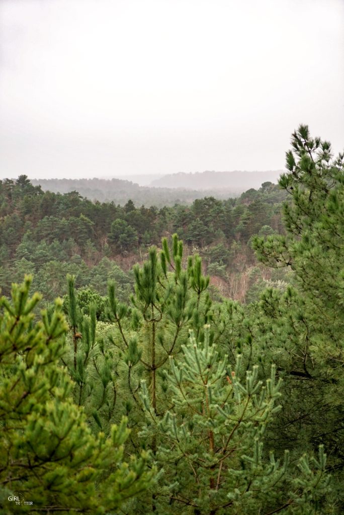 Randonnée des 25 bosses foret de Fontainebleau en Ile de France