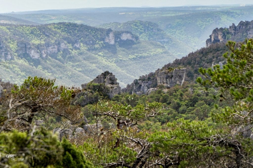 Gorge du Tarn en Aveyron