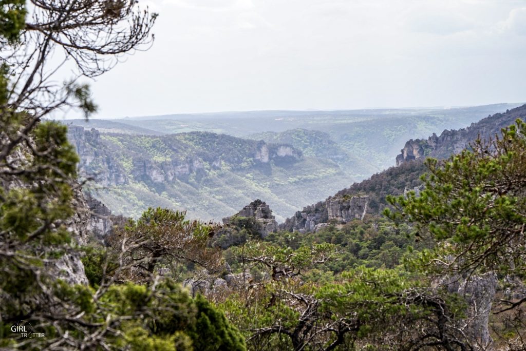 Gorge du Tarn en Aveyron