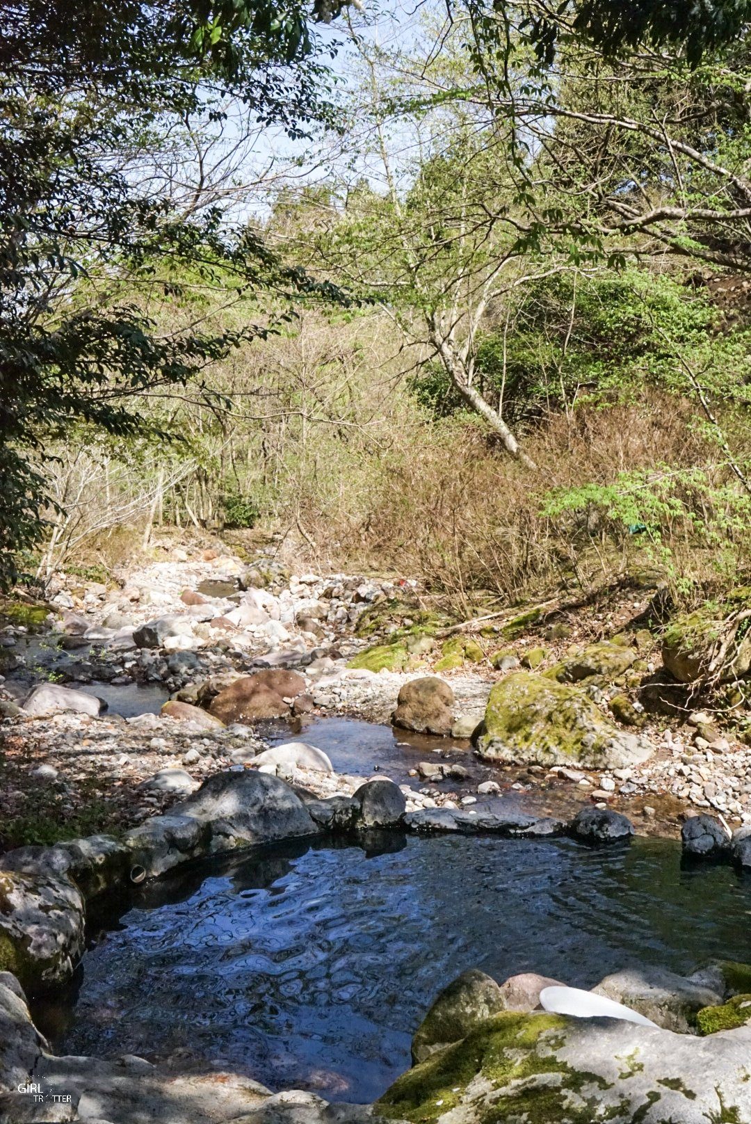 Onsen Hebinyu en pleine montagne nature au Japon dans les montagnes de beppu