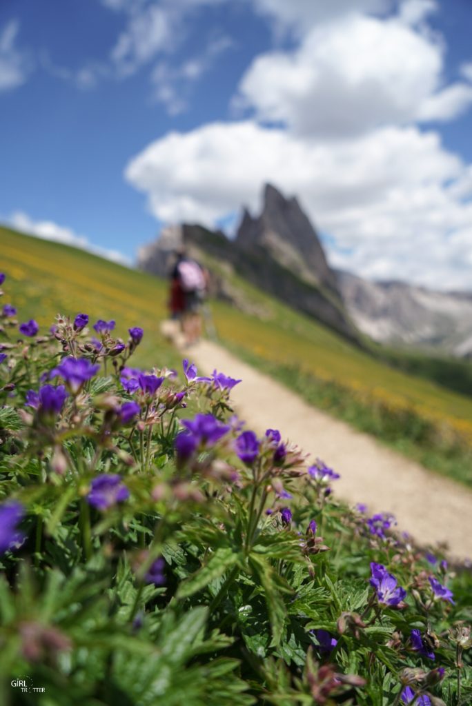 Ortisei Seceda Dolomites