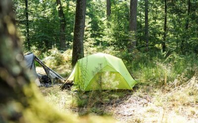 Bivouac en forêt de Fontainebleau, où camper ?