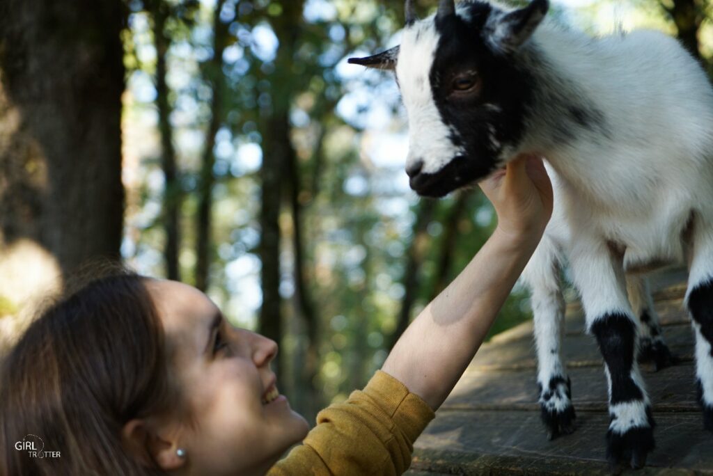 Parc animalier du Thot Périgord