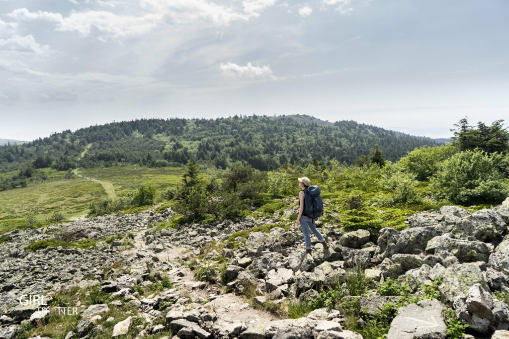 Sentier des Crêts - Crêt de la Perdrix au coeur du Parc naturel régional du Pilat en Loire
