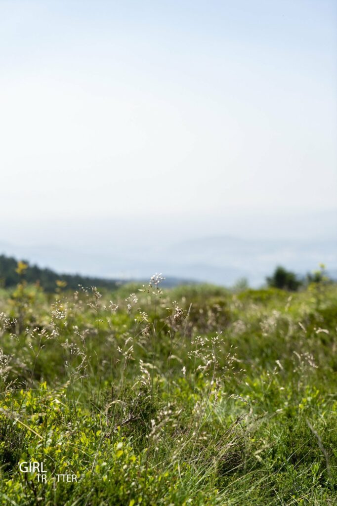 Randonnée au coeur du Parc naturel régional du Pilat en Loire