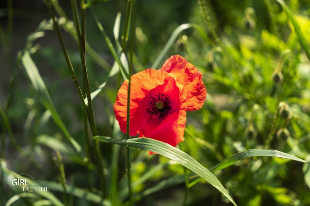 Weekend nature et Weekend sportif au coeur du Pilat dans le sud de la Loire Girltrotter 02 2