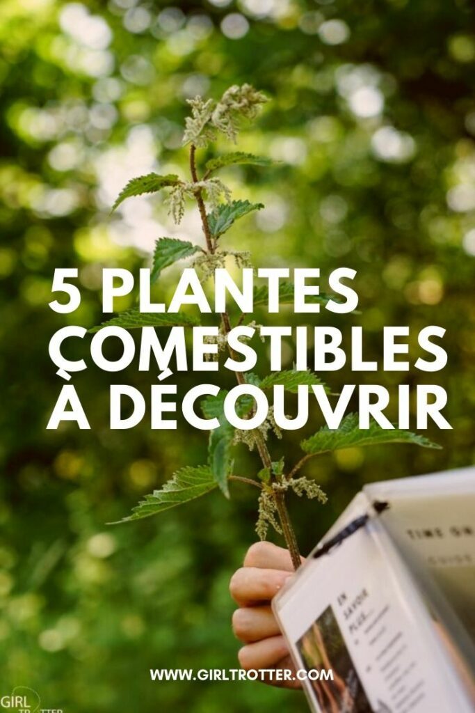 Découvrir les plantes comestibles