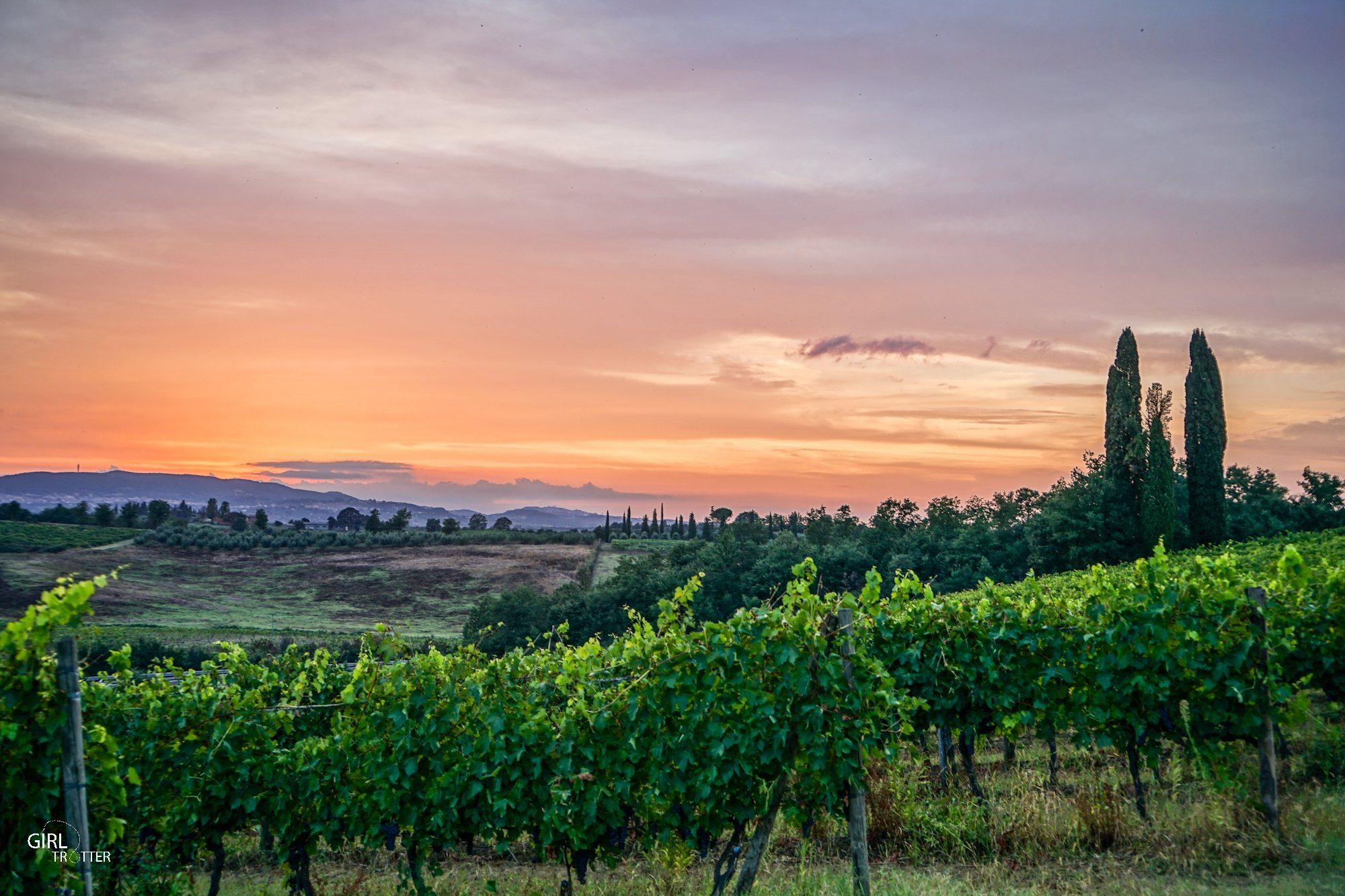 Un été en Toscane : bonnes adresses, sites et activités