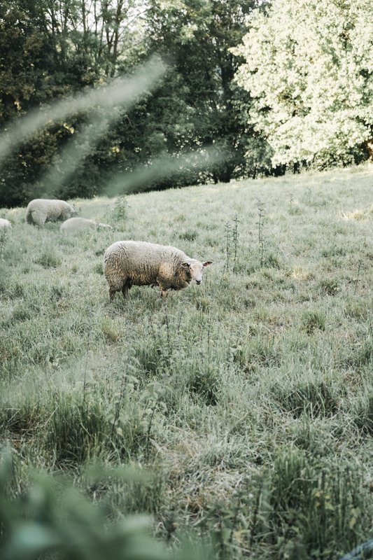 Campagne autour de Gerberoy