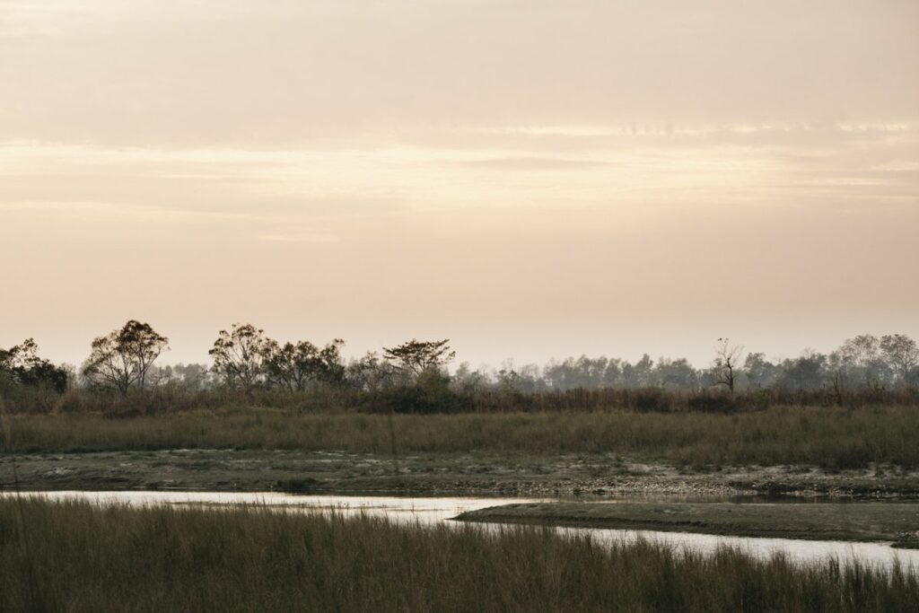 Coucher de soleil - Rencontre avec un tigre dans la jungle au Népal - Bardia National Park - Récit de voyage