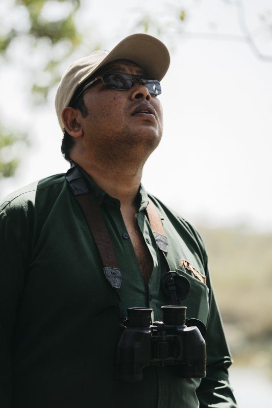 Rencontre avec un tigre dans la jungle au Népal - Bardia National Park - Récit de voyage