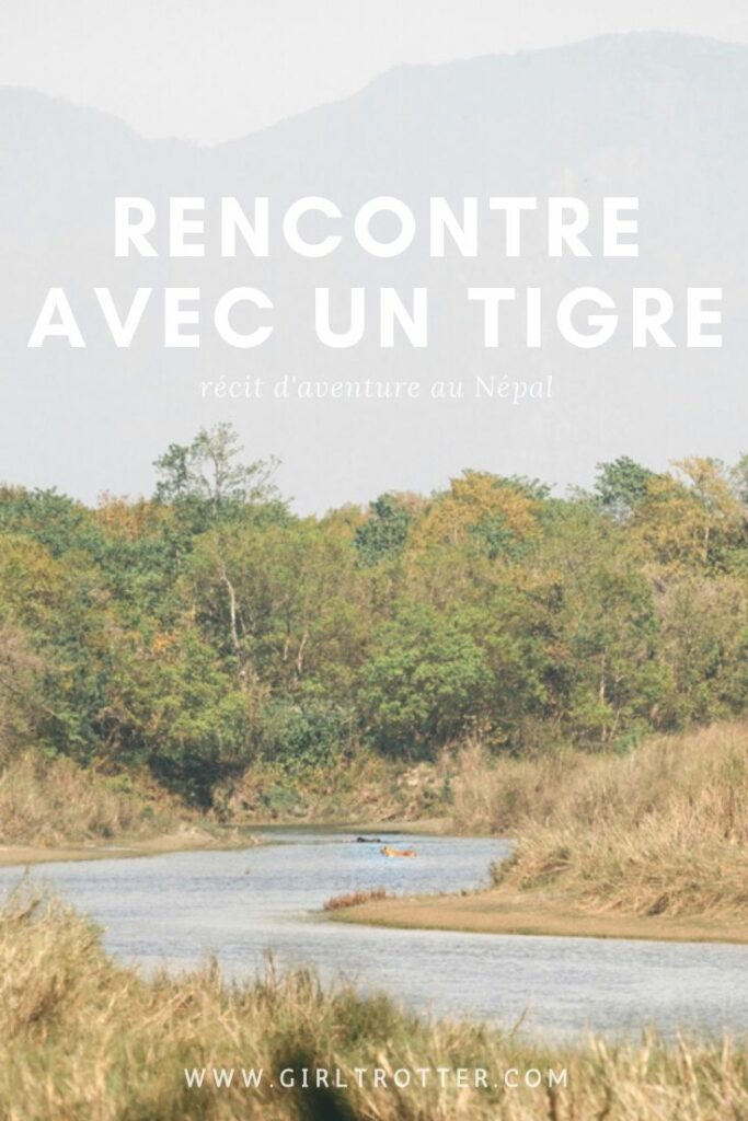 Récit d'aventure au Népal - Rencontre avec un tigre sauvage