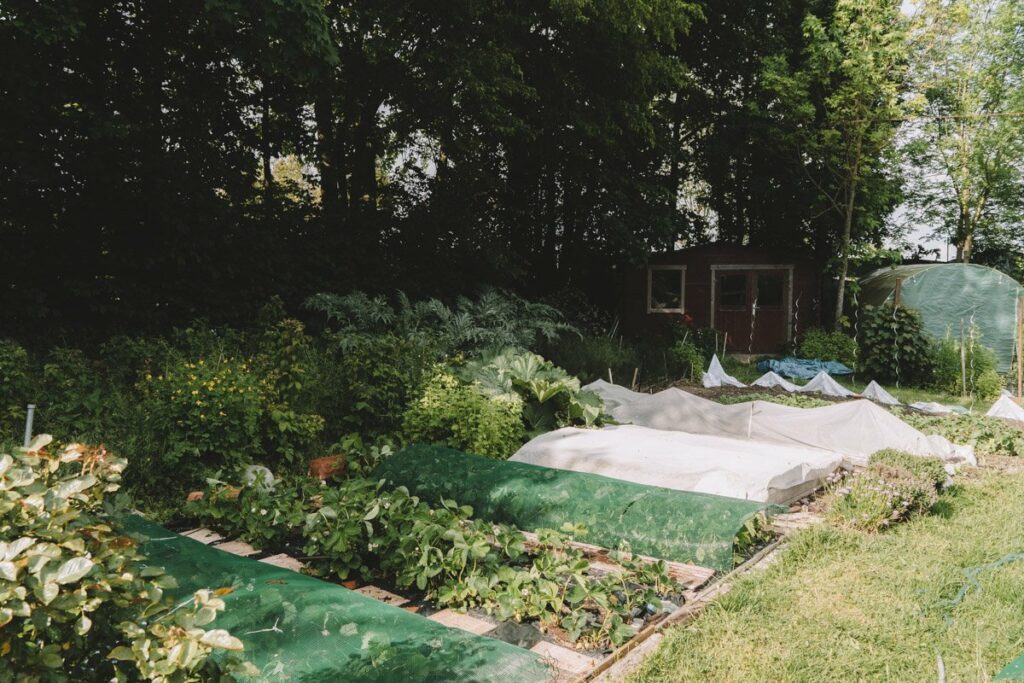 Jardin du Gite La Maison dans la Prairie à Bernot, hébergement weekend campagne dans l'Aisne - Tourisme Picardie Hauts-de-France