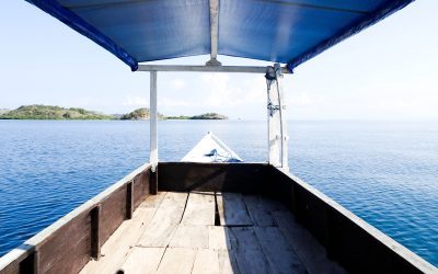 CÉLÉBRER UN AN DE VOYAGE EN SOLITAIRE EN INDONESIE