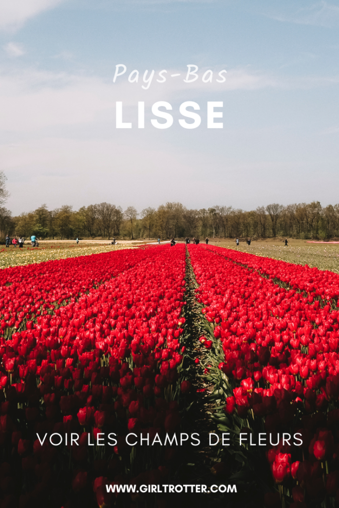 champs de fleurs en hollande au printemps girltrotter le blog des filles qui voyagent