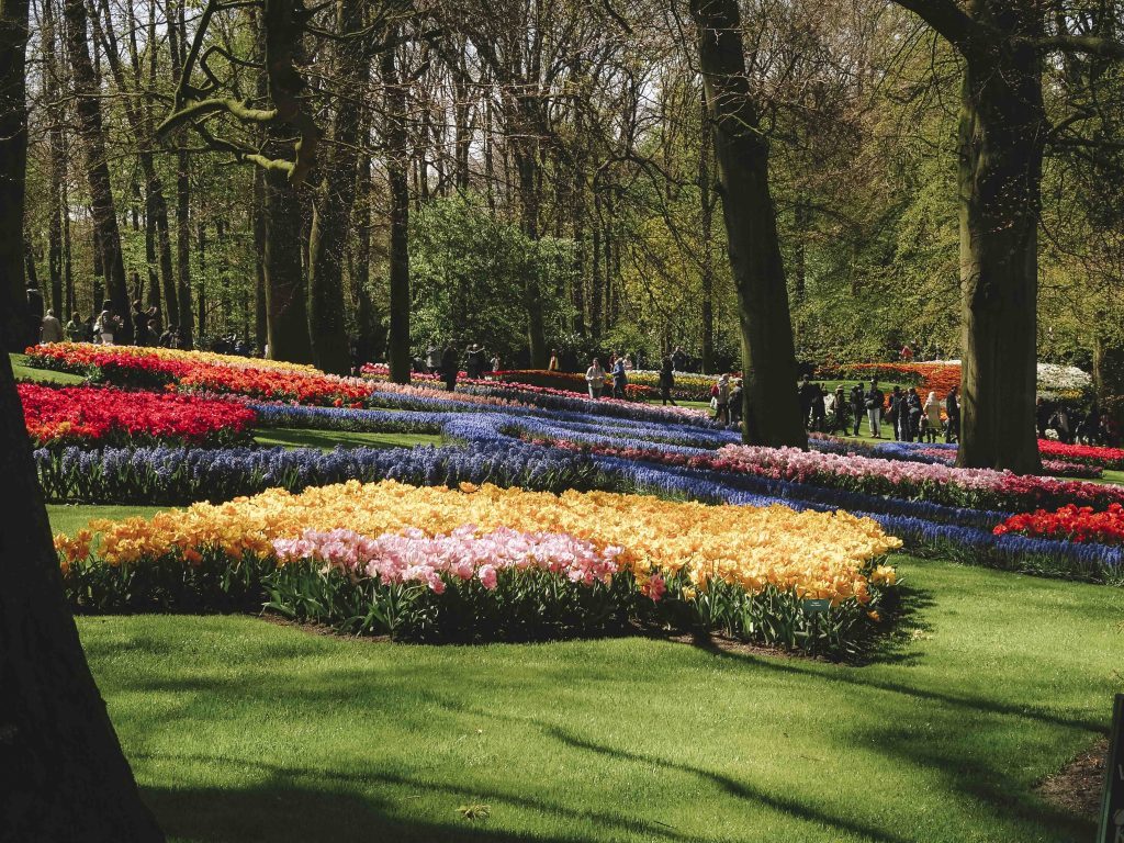 keukenhof parc floral a visiter aux pays bas hollande girltrotter, le blog des filles qui voyagent8