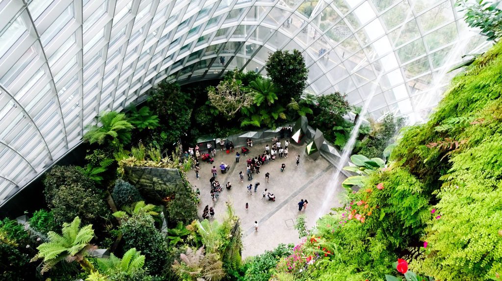 que faire a singapour the clouds forest gardens by the bay girltrotter, le blog des filles qui voyagent