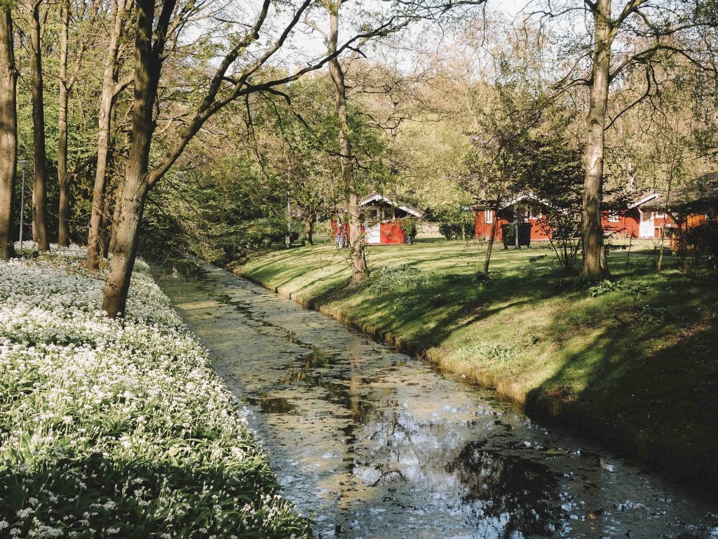 roadtrip aux pays bas au printemps amsterdam, kinderdijk, keukenhof girltrotter, le blog des filles qui voyagent7