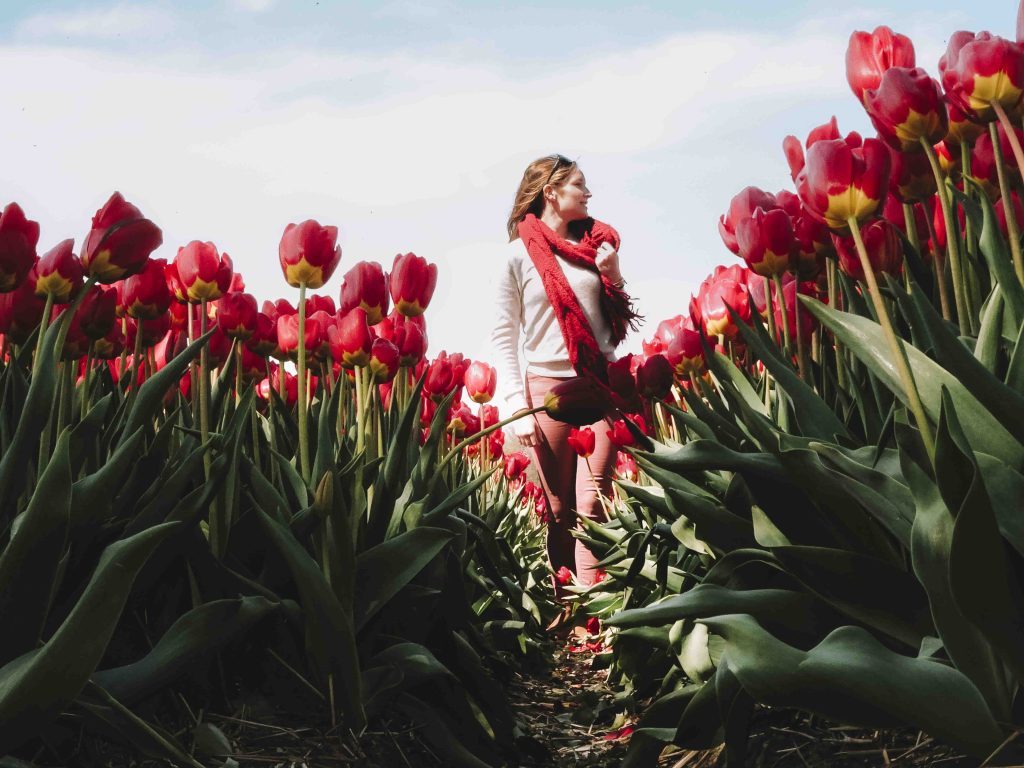 visite keukenhof et les champs de fleurs de lisse aux pays bas girltrotter le blog des filles qui voyagent4