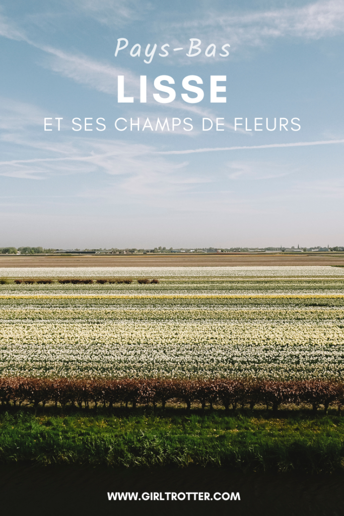 voir les champs de fleurs de lisse, tulipes et jonquilles de printemps au pays bas girltrotter le blog des filles qui voyagent