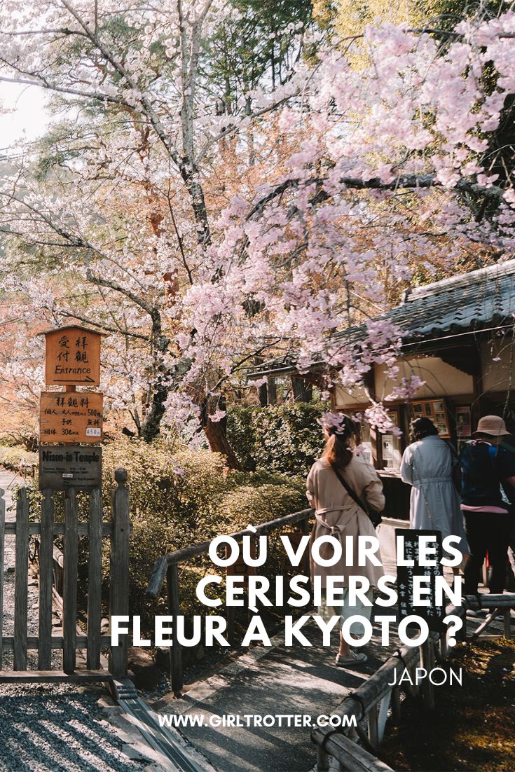 ou voir les cerisiers en fleur a kyoto au japon 1