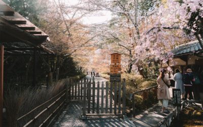 Où voir les cerisiers en fleur à Kyoto ?