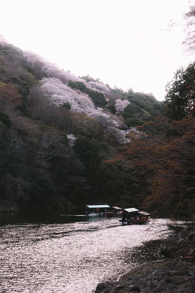 voir les cerisiers en fleur a kyoto les collines de arashiyama girltrotter blog aventure et voyage responsable 1
