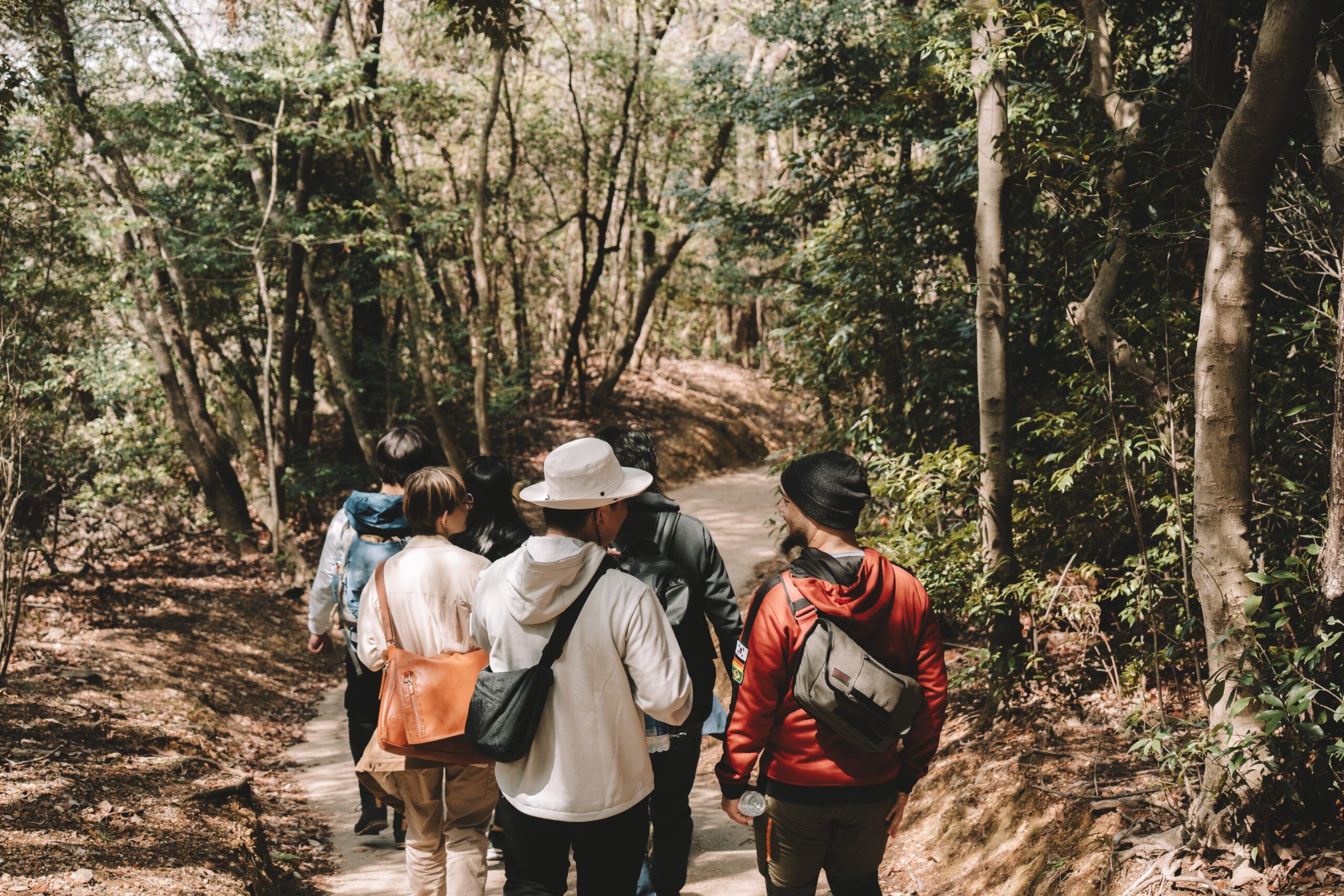 pvt japon (programme vacances travail) : guide complet pour partir un an au japon blog girltrotter 2