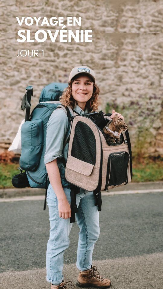 🚄 Paris - Munich, c'est la première étape de mon voyage en Slovénie ! 🇸🇮
Je pars pour un séjour de trois semaines en mode digital nomade, pour à la fois travailler 👩‍💻 et découvrir 🧍🏼‍♀️ ce pays qui m'appelait tant, avec ses rivières turquoises.
J'emmène Sinaï avec moi pour un premier grand voyage ensemble et funfact, c'est grâce à lui que j'ai fait ma première rencontre du voyage sur le quai de la gare de départ. Cécile et Jean-Christophe, un couple amical et catlover, bien sûr, qui se rendait à Paris pour faire du bénévolat aux JO Paralympiques, trop forts 💪🏻 On a passé la première heure de train jusqu'à Paris ensemble avant de reprendre nos routes pour la suite du voyage que je vous raconte ici ⬆️

🚄 J'ai réservé mes billets de train internationaux sur @trainlinefrance que je trouve très pratiques quand il s'agit de pays différents à l'arrivée et au départ.

👋 @jcauxjo2024 @cblcecile @timimimish

#Slovénie @feelslovenia feelslovenia #Slowtourisme #ecotourisme #tourismedurable #tourismeresponsable #voyageresponsable #voyage #voyagevoyage #train #voyageentrain #voyagerentrain #voyagereneurope #travelcat #adventurecat @trainline