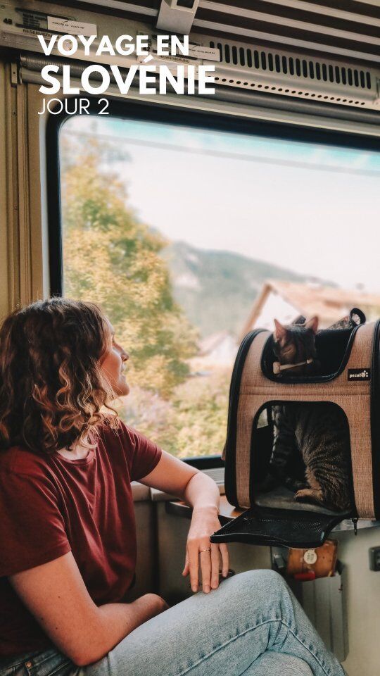 Slovénie 🇸🇮 nous voilà ! Nous complétons votre seconde étape en train de Munich à Ljubljana, la Capitale, avec toujours de chouettes rencontres : Alex qui nous a bien aidé sur le trajet et qui a pris la photo de couverture de ce reel mais aussi 3 ou 4 petites mamies dans le bus jusqu'à notre logement.

🏨 J'ai trouvé un appartement sur HomeExchange pour 8 jours à Ljubljana. Vous savez, j'en parle souvent c'est un échange de logements entre particuliers. Ça permet des voyages plus authentiques et confortablement installés comme à la maison.
J'en reparlerai mais si vous avez des questions ou besoin d'être parrainé pour gagner quelques premiers Guest Points (à échanger) écrivez-moi en DM ou utilisez directement mon code marelune-95b68

👋 @timimimish

#Slovénie @feelslovenia feelslovenia #Slowtourisme #ecotourisme #tourismedurable #tourismeresponsable #voyageresponsable #voyage #voyagevoyage #train #voyageentrain #voyagerentrain #voyagereneurope #travelcat #adventurecat @homeexchangefr #homeexchange